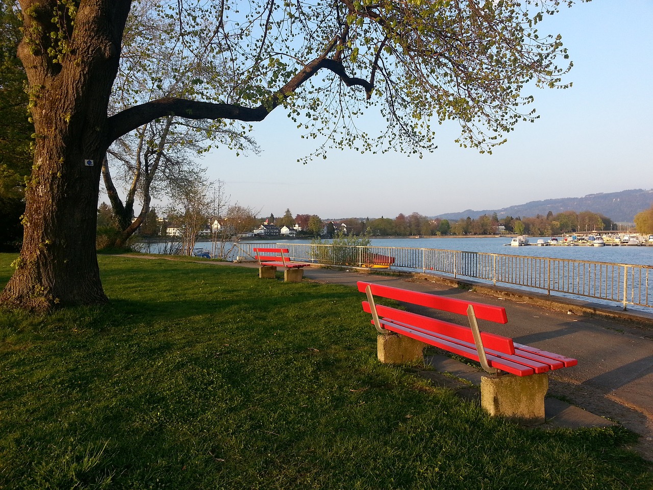 动力获得了 动力获得了