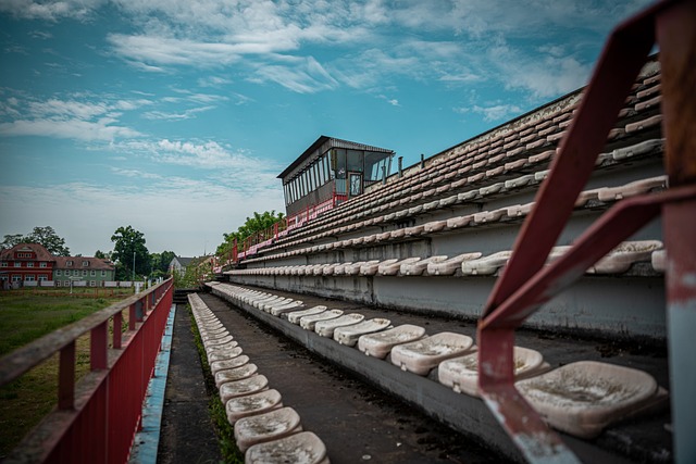 湖人管理层 湖人管理层