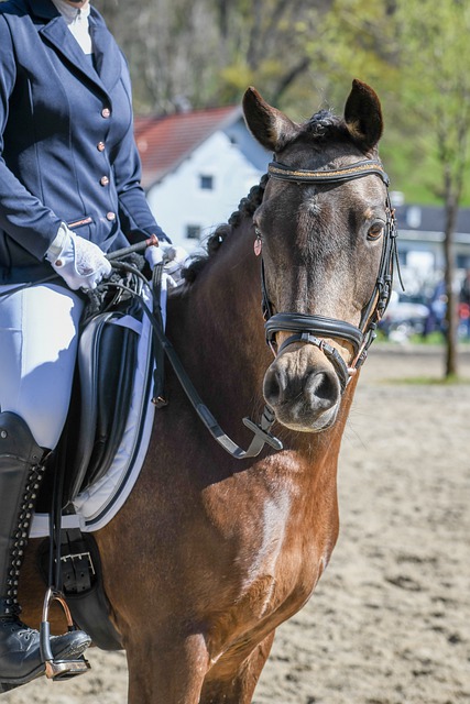 广东男篮此 广东男篮此