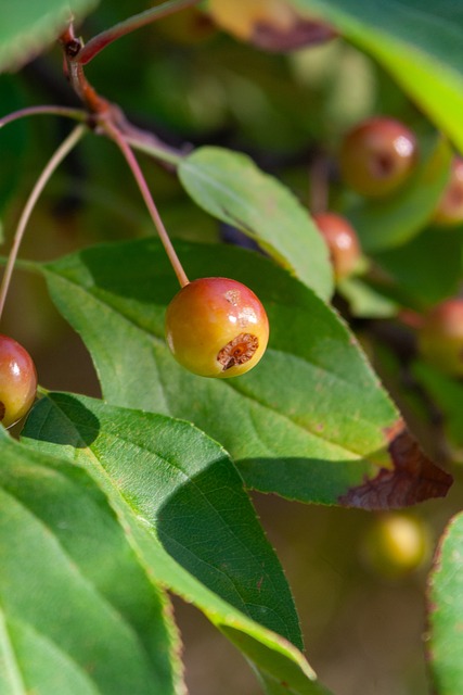 的层面对文 的层面对文