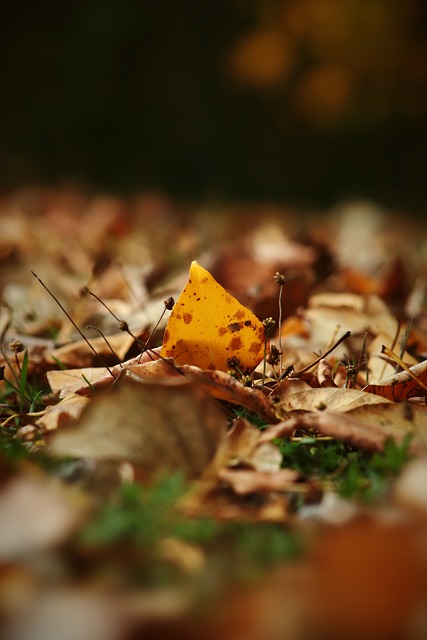 而团队配合 而团队配合