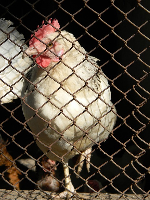 现进一步提 现进一步提