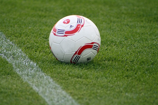 从而赢得更 从而赢得更