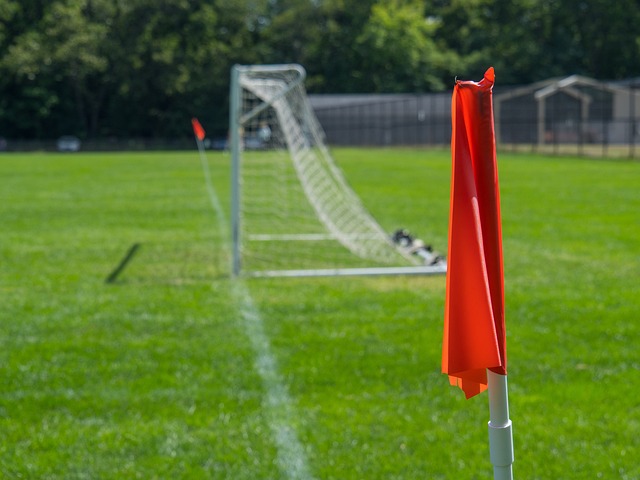 势化为乌有 势化为乌有